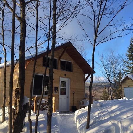 Chalet Nature Laurentides Val-des-Lacs Экстерьер фото