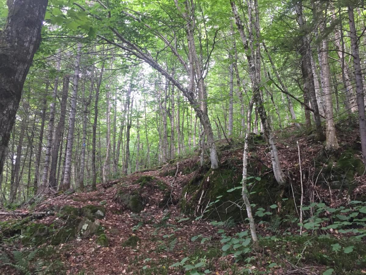 Chalet Nature Laurentides Val-des-Lacs Экстерьер фото